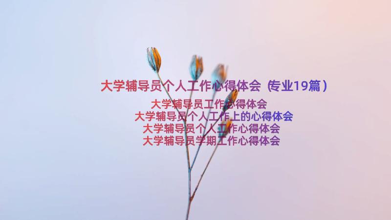 大学辅导员个人工作心得体会（专业19篇）