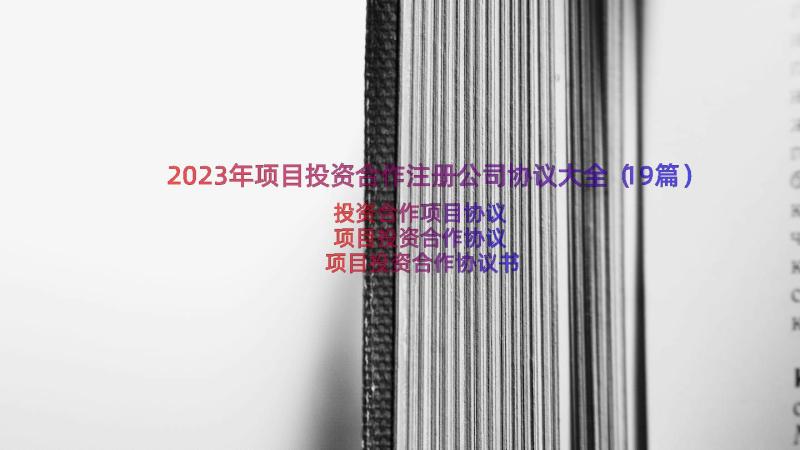 2023年项目投资合作注册公司协议大全（19篇）