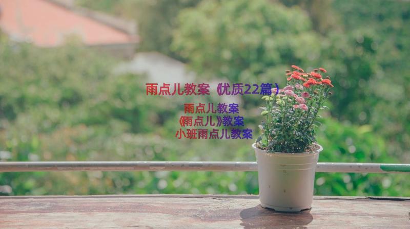 雨点儿教案（优质22篇）