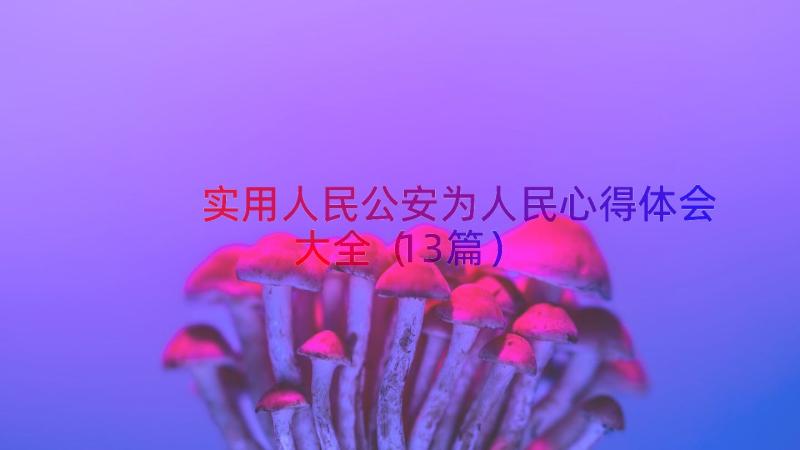 实用人民公安为人民心得体会大全（13篇）