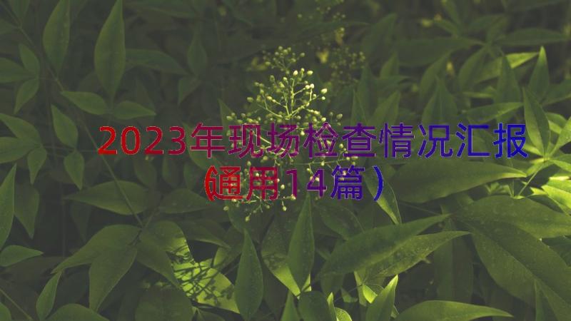 2023年现场检查情况汇报（通用14篇）