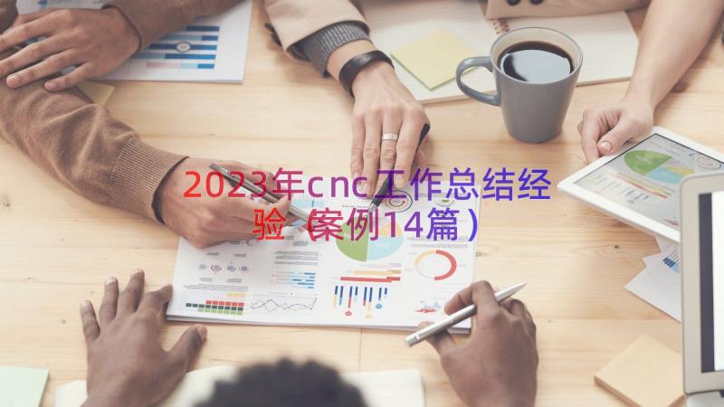 2023年cnc工作总结经验（案例14篇）