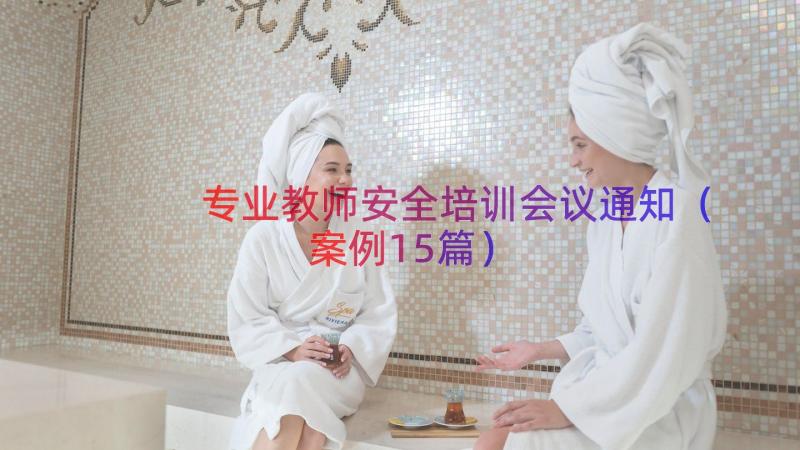 专业教师安全培训会议通知（案例15篇）