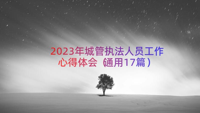 2023年城管执法人员工作心得体会（通用17篇）