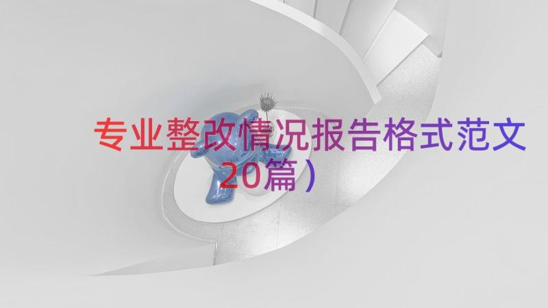 专业整改情况报告格式范文（20篇）