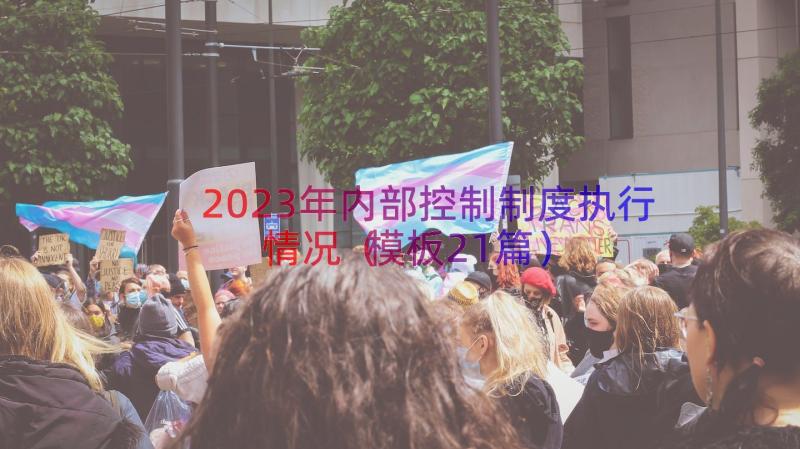 2023年内部控制制度执行情况（模板21篇）