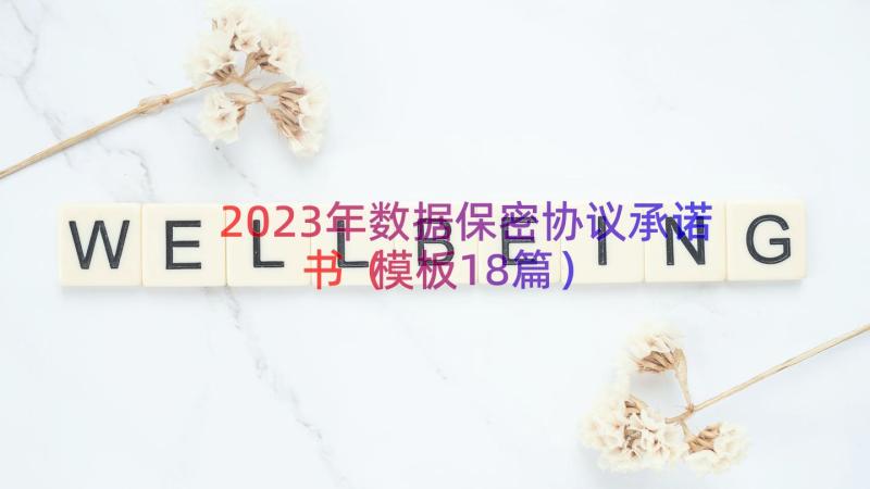 2023年数据保密协议承诺书（模板18篇）