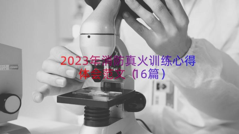 2023年消防真火训练心得体会范文（16篇）