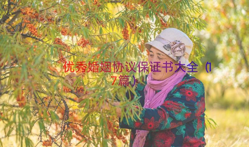 优秀婚姻协议保证书大全（17篇）