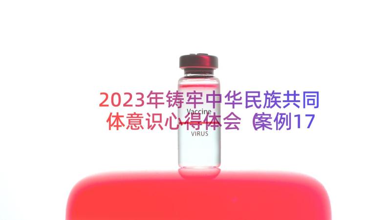 2023年铸牢中华民族共同体意识心得体会（案例17篇）