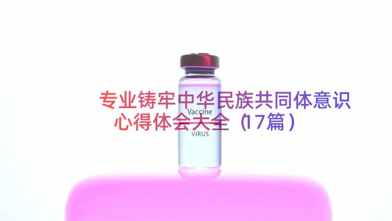 专业铸牢中华民族共同体意识心得体会大全（17篇）