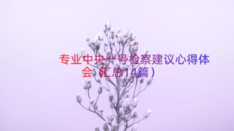 专业中央一号检察建议心得体会（汇总14篇）