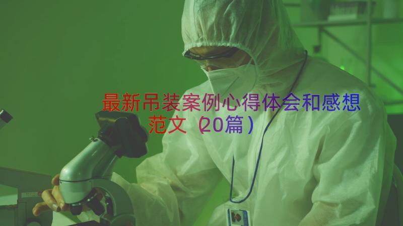 最新吊装案例心得体会和感想范文（20篇）