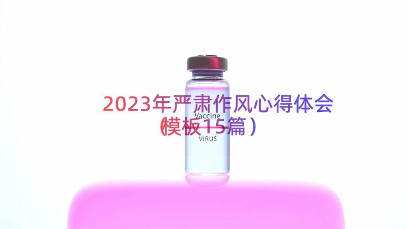 2023年严肃作风心得体会（模板15篇）