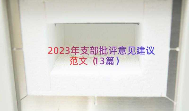 2023年支部批评意见建议范文（13篇）