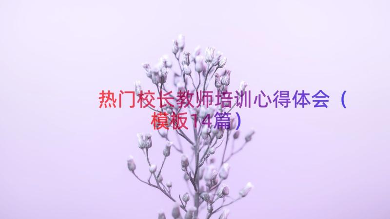 热门校长教师培训心得体会（模板14篇）