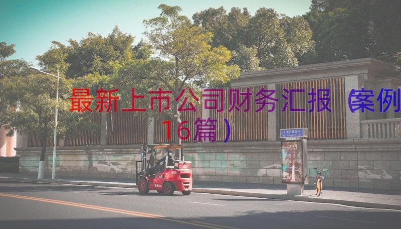 最新上市公司财务汇报（案例16篇）