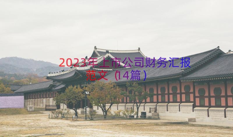 2023年上市公司财务汇报范文（14篇）