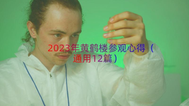 2023年黄鹤楼参观心得（通用12篇）