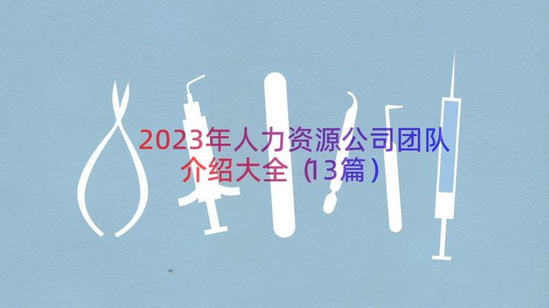 2023年人力资源公司团队介绍大全（13篇）