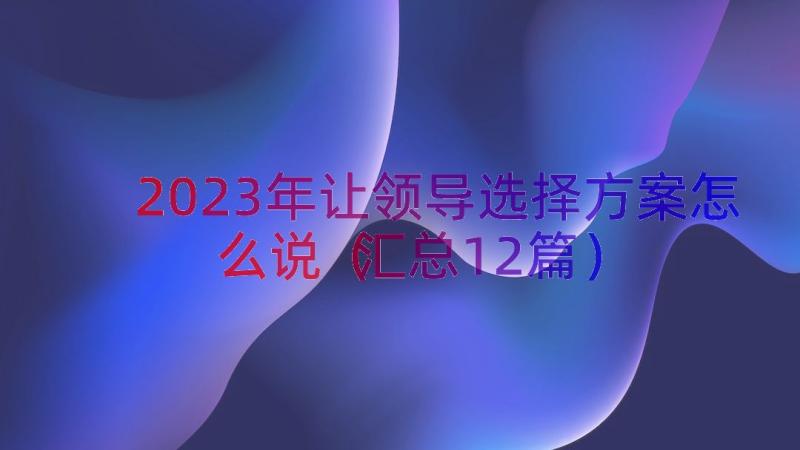 2023年让领导选择方案怎么说（汇总12篇）