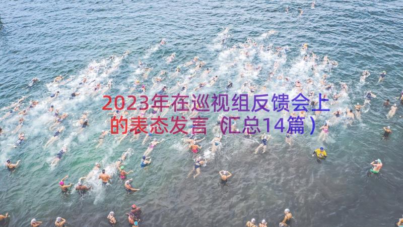 2023年在巡视组反馈会上的表态发言（汇总14篇）