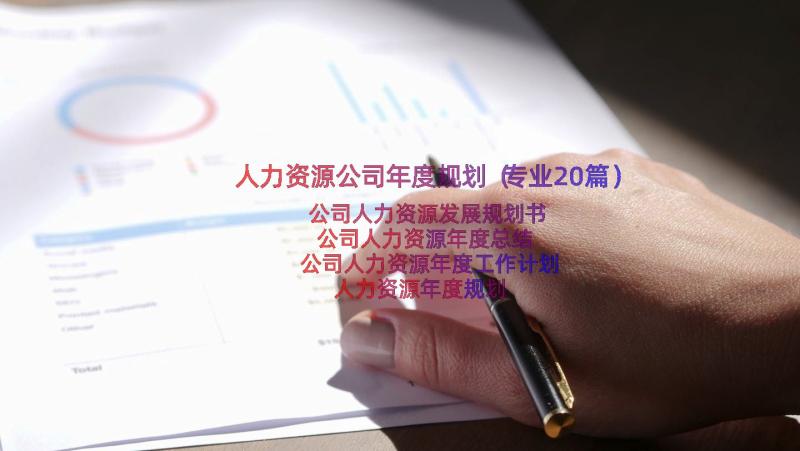 人力资源公司年度规划（专业20篇）