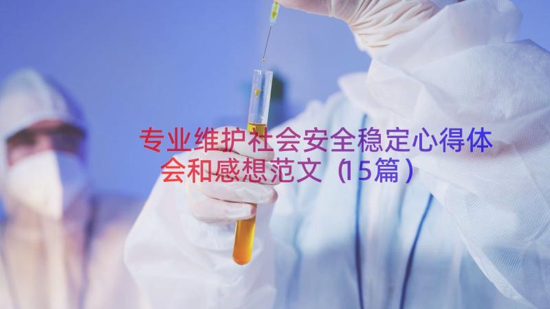 专业维护社会安全稳定心得体会和感想范文（15篇）