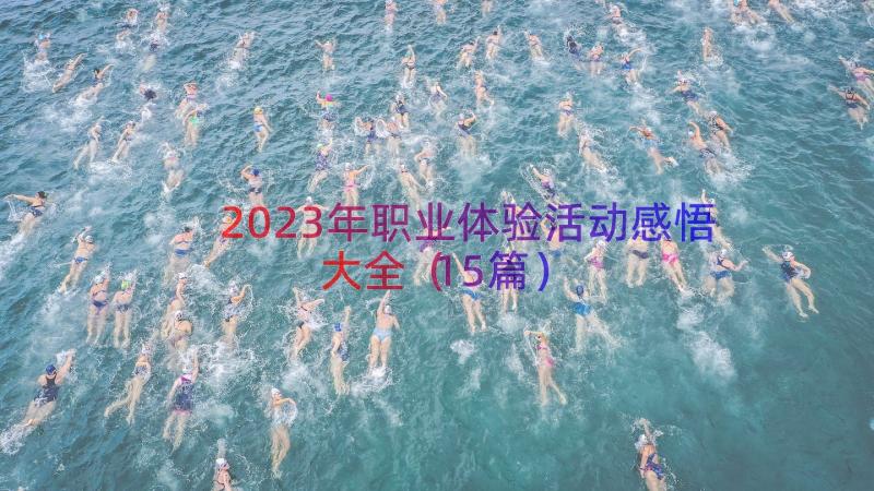 2023年职业体验活动感悟大全（15篇）