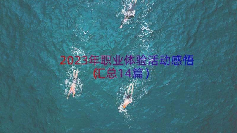 2023年职业体验活动感悟（汇总14篇）