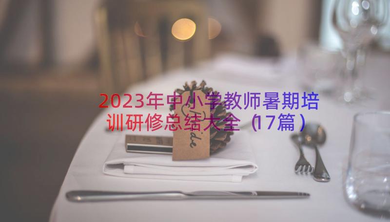 2023年中小学教师暑期培训研修总结大全（17篇）