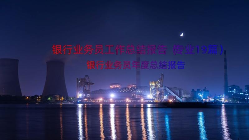 银行业务员工作总结报告（专业19篇）