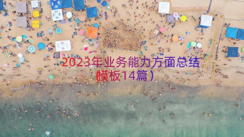 2023年业务能力方面总结（模板14篇）