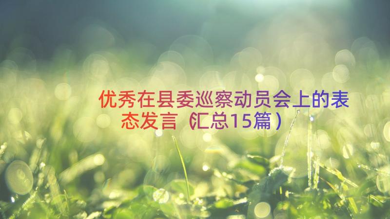 优秀在县委巡察动员会上的表态发言（汇总15篇）