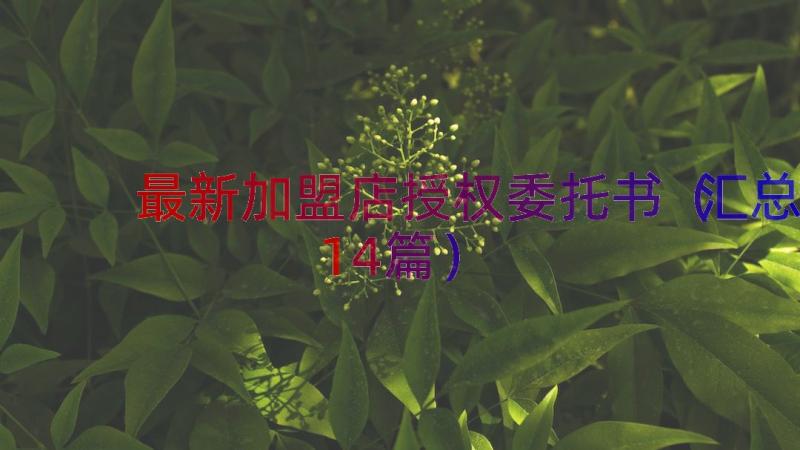 最新加盟店授权委托书（汇总14篇）