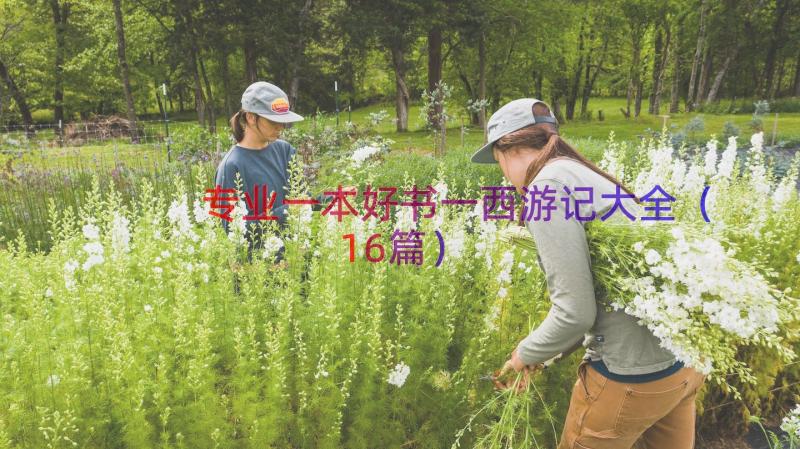 专业一本好书一西游记大全（16篇）