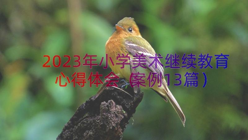 2023年小学美术继续教育心得体会（案例13篇）