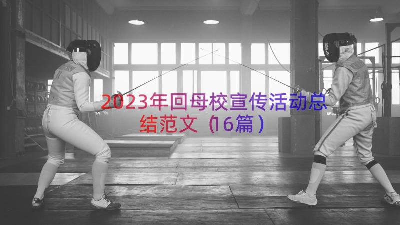 2023年回母校宣传活动总结范文（16篇）