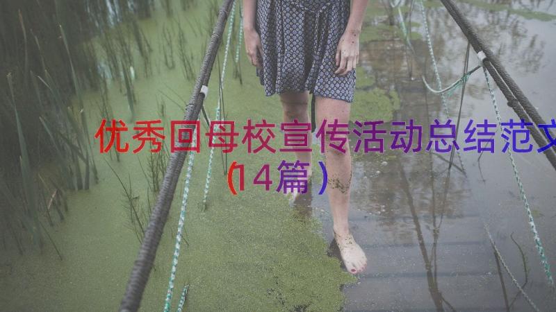 优秀回母校宣传活动总结范文（14篇）