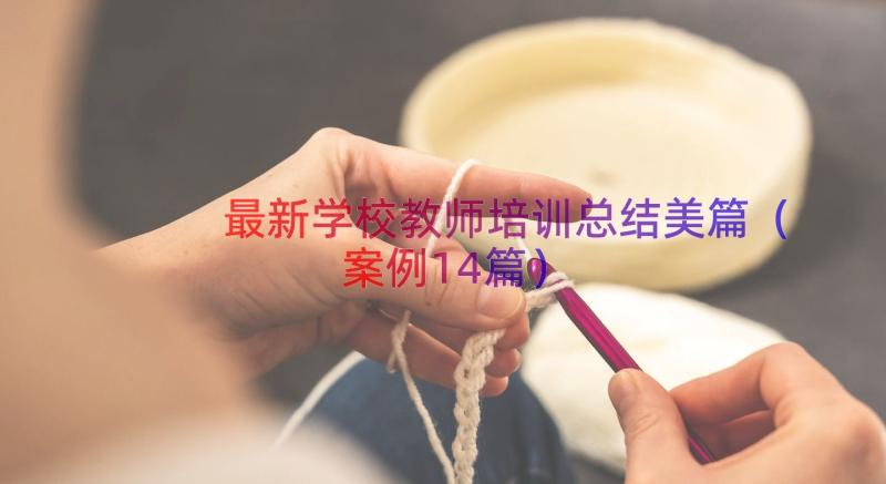 最新学校教师培训总结美篇（案例14篇）