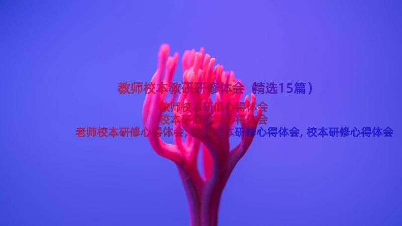 教师校本教研研修体会（精选15篇）