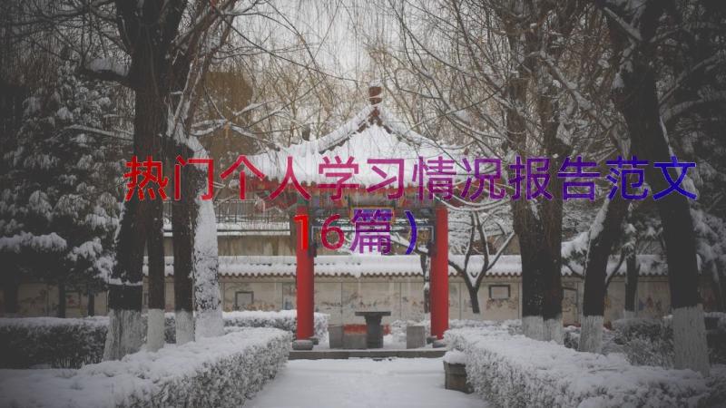 热门个人学习情况报告范文（16篇）