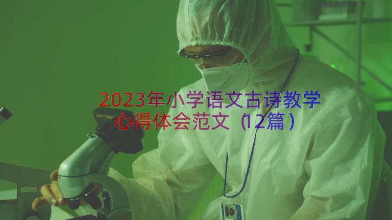 2023年小学语文古诗教学心得体会范文（12篇）