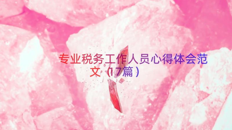 专业税务工作人员心得体会范文（17篇）