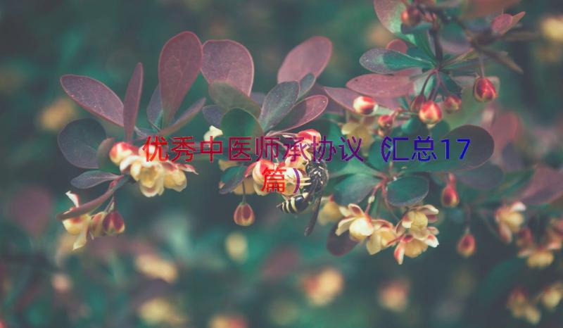 优秀中医师承协议（汇总17篇）