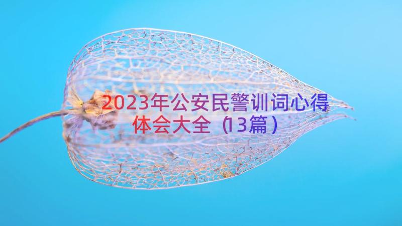 2023年公安民警训词心得体会大全（13篇）