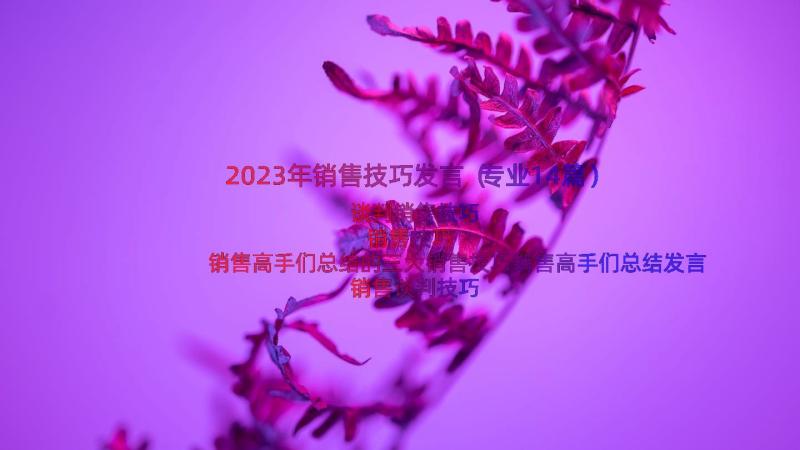 2023年销售技巧发言（专业14篇）