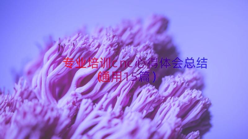 专业培训cnc心得体会总结（通用15篇）