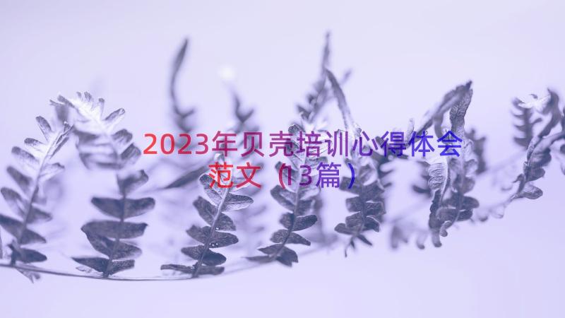 2023年贝壳培训心得体会范文（13篇）