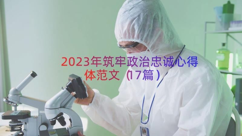 2023年筑牢政治忠诚心得体范文（17篇）